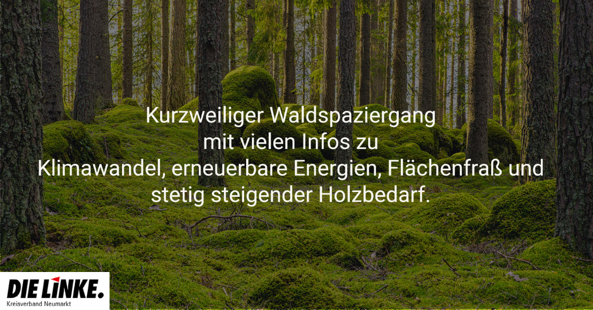 Kurzweiliger Waldspaziergang mit vielen Infos